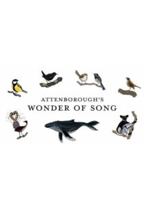 دانلود فیلم Attenborough’s Wonder of Song 2022454537-688996370
