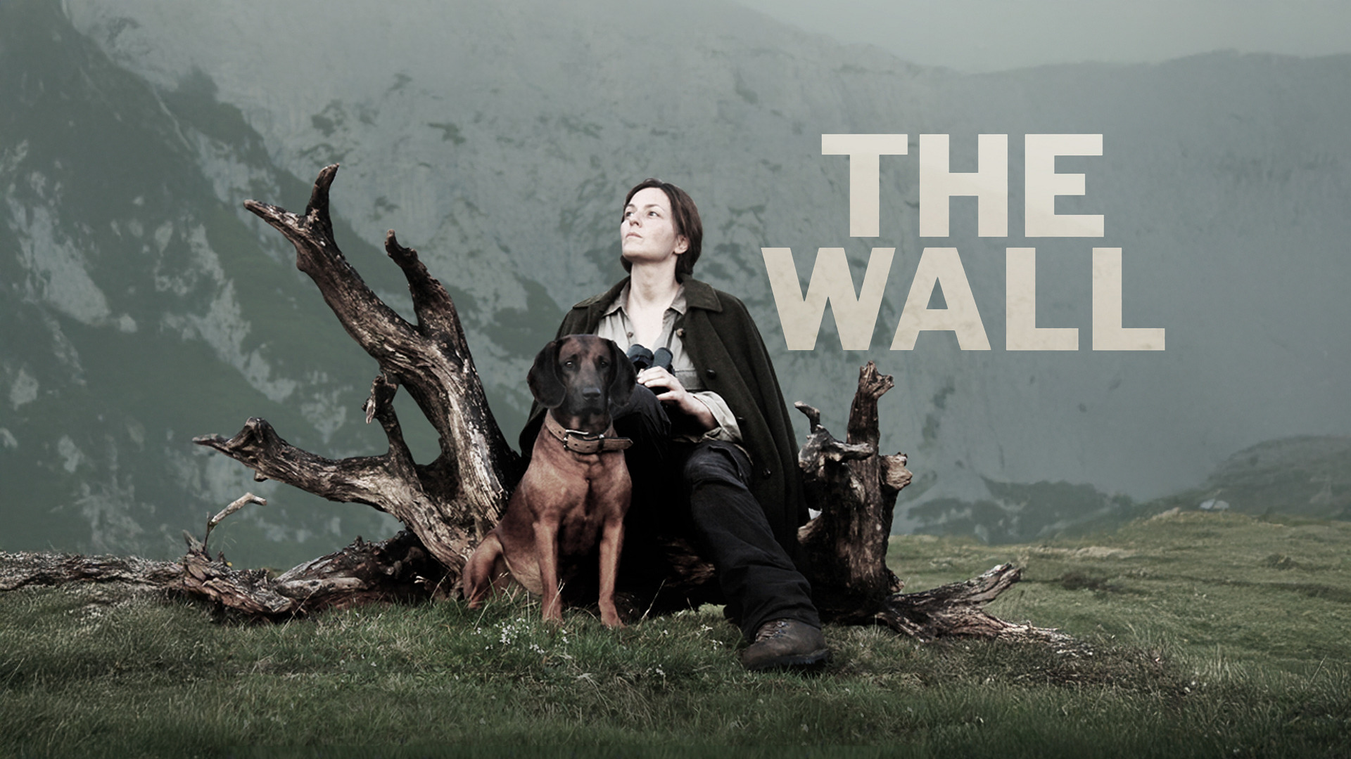 دانلود فیلم The Wall 2012