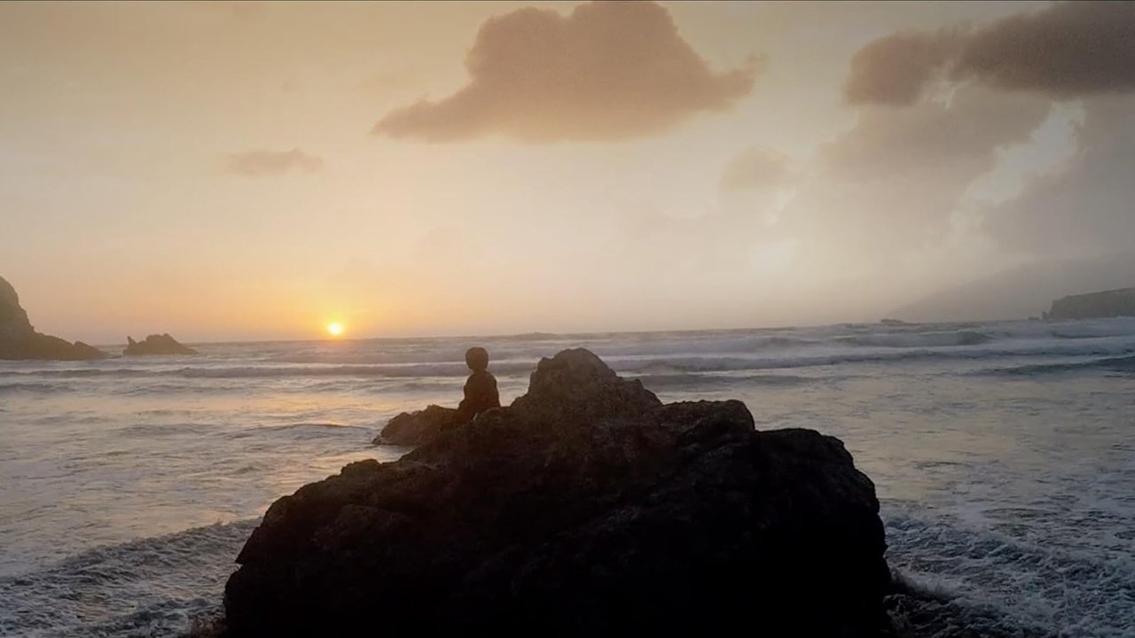 دانلود فیلم A Boy Called Po 2016