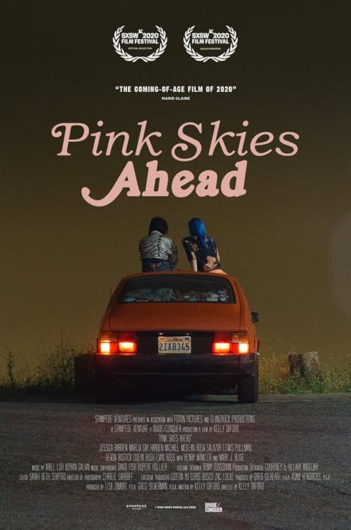 دانلود فیلم Pink Skies Ahead 2020