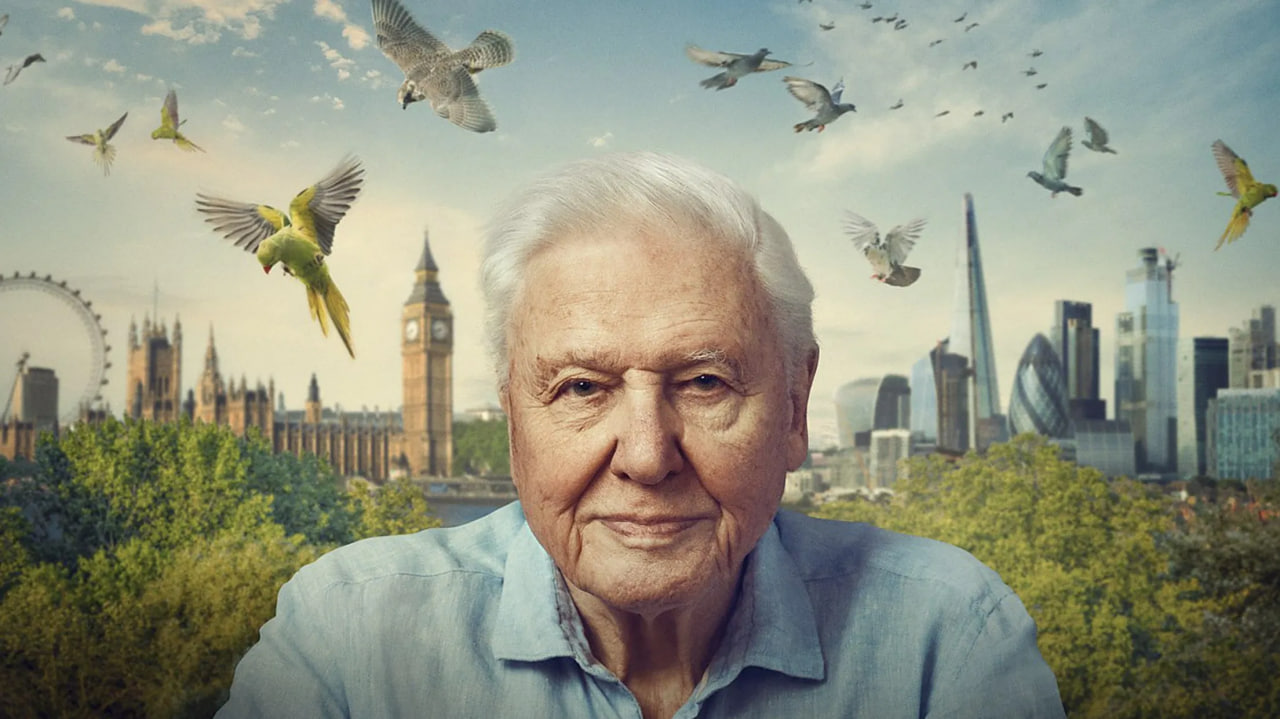 دانلود فیلم Wild London 2026