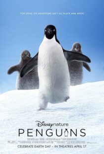 دانلود فیلم Penguins 2019457646-1757630378