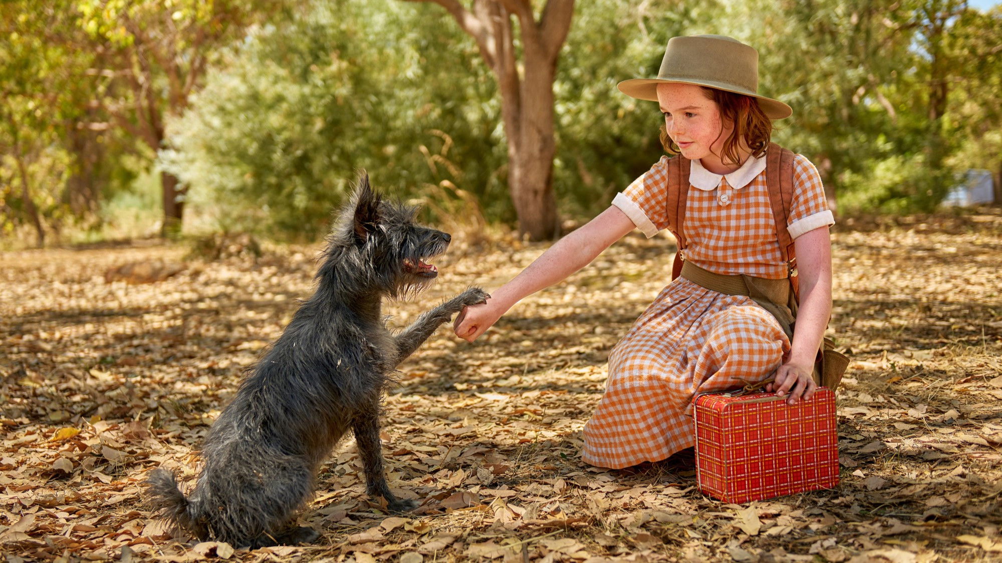 دانلود فیلم Runt 2024