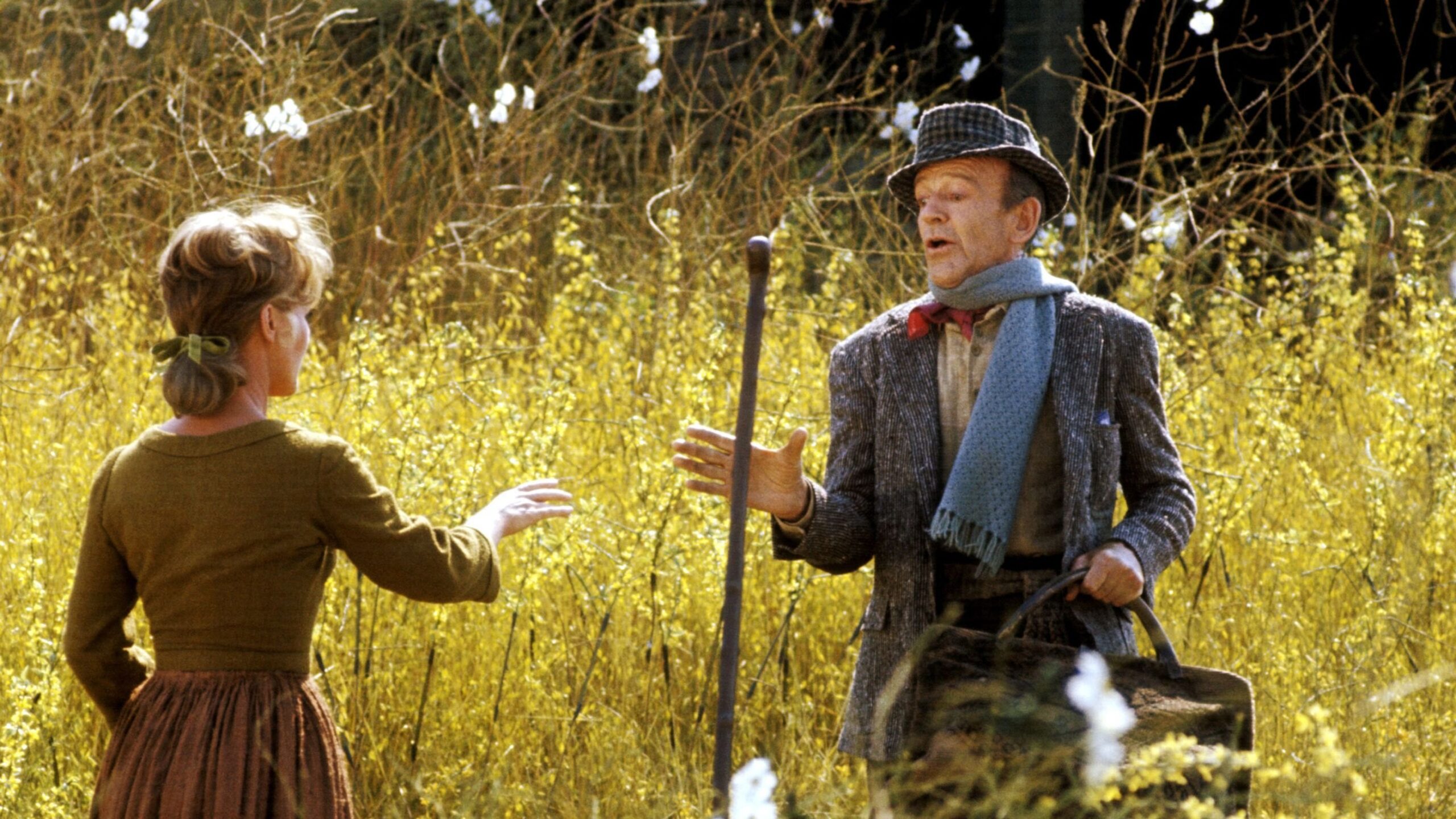 دانلود فیلم Finian’s Rainbow 1968